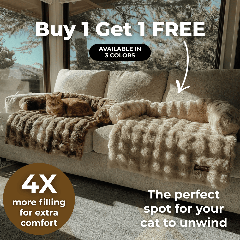 Pelsbarn Luxurious Sofa Bed ( 1+1 ) for Cats
