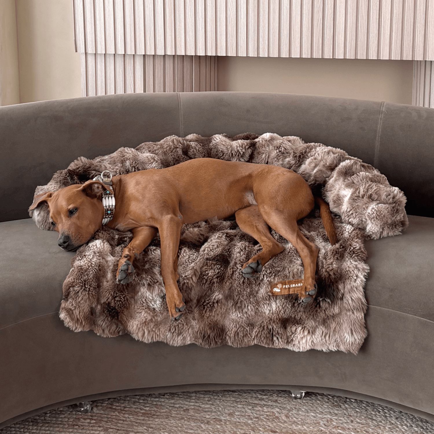 Pelsbarn Luxurious Sofa Bed ( 1+1 ) Golden Age