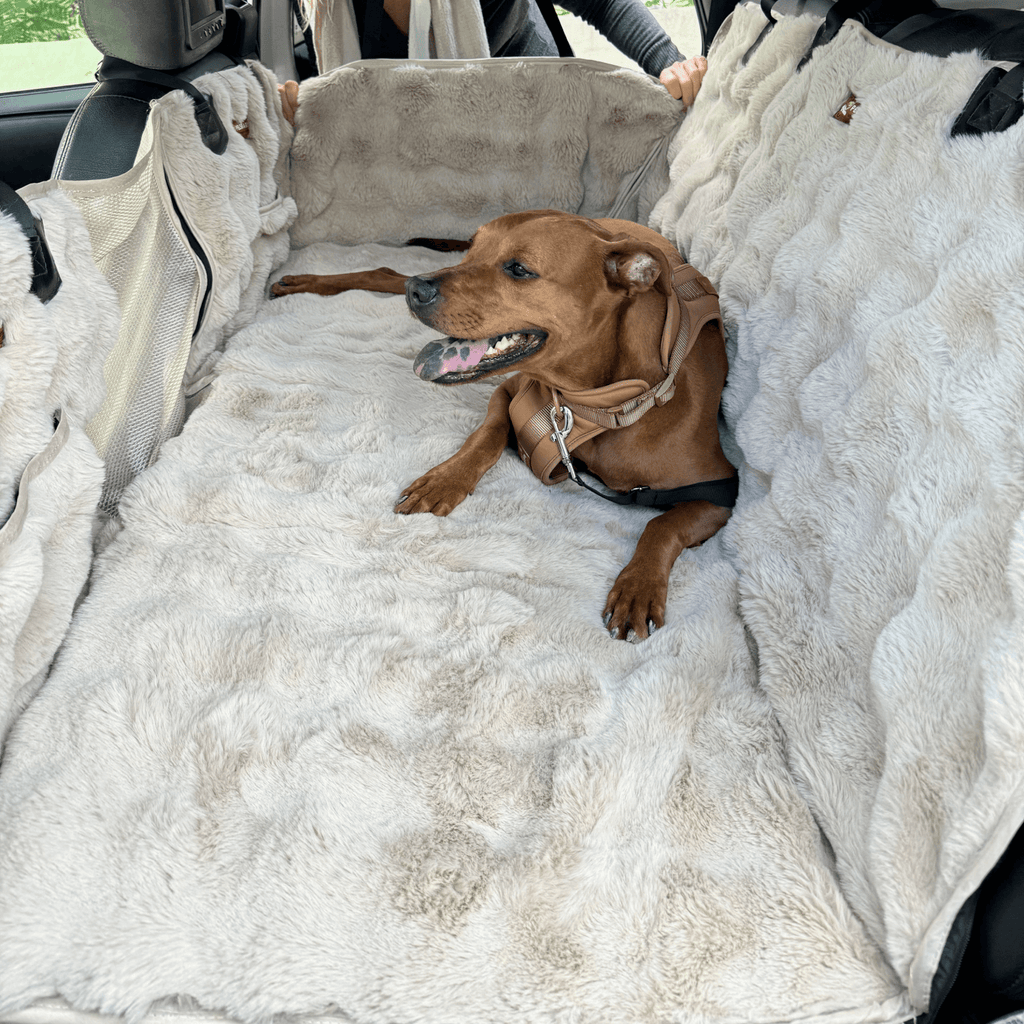 Luxurious Full Backseat Protector + Free Calming Blanket