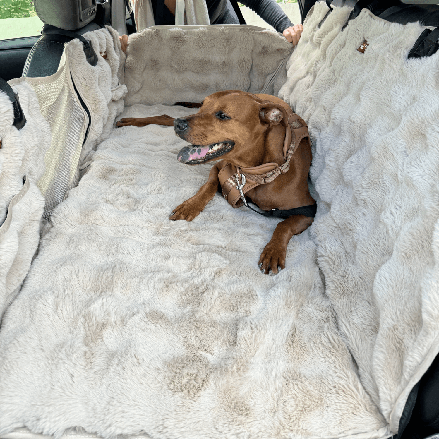 Luxurious Full Backseat Protector