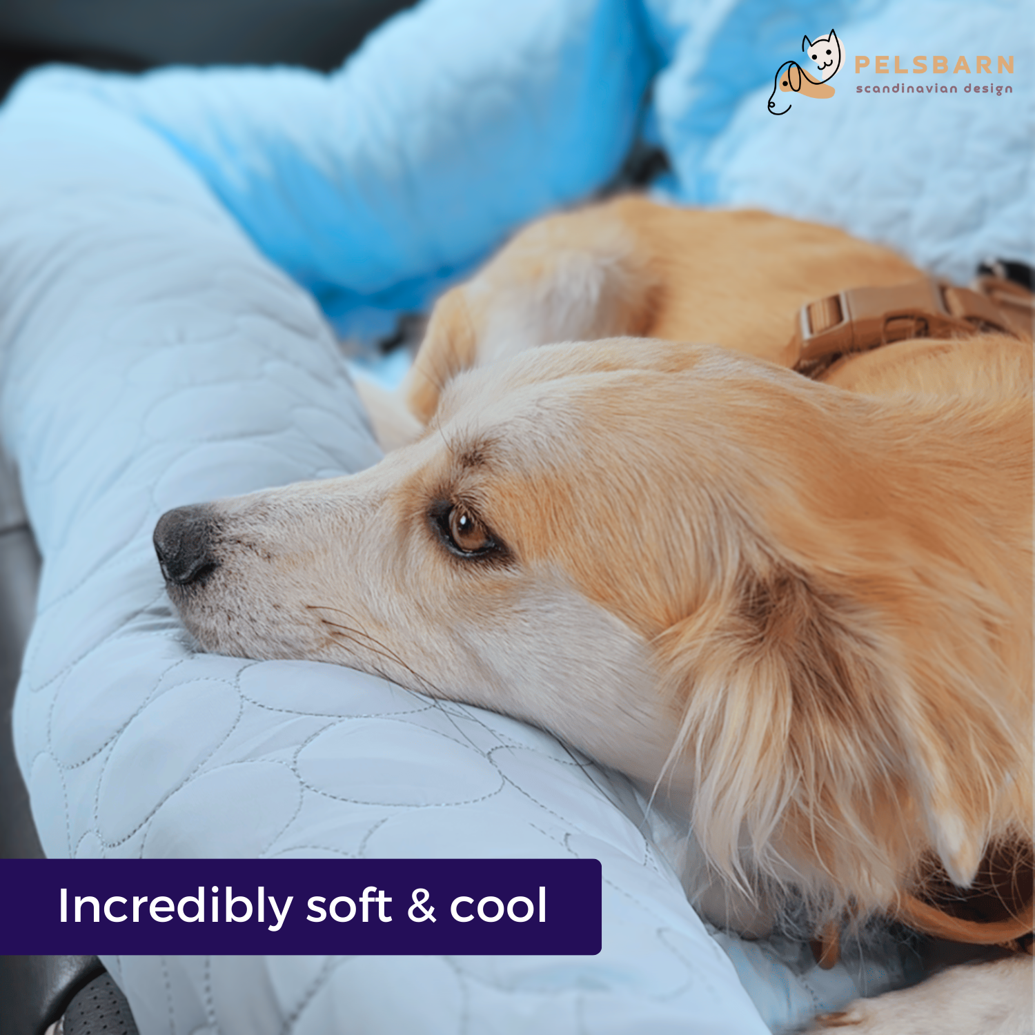 Cooling Car Bed