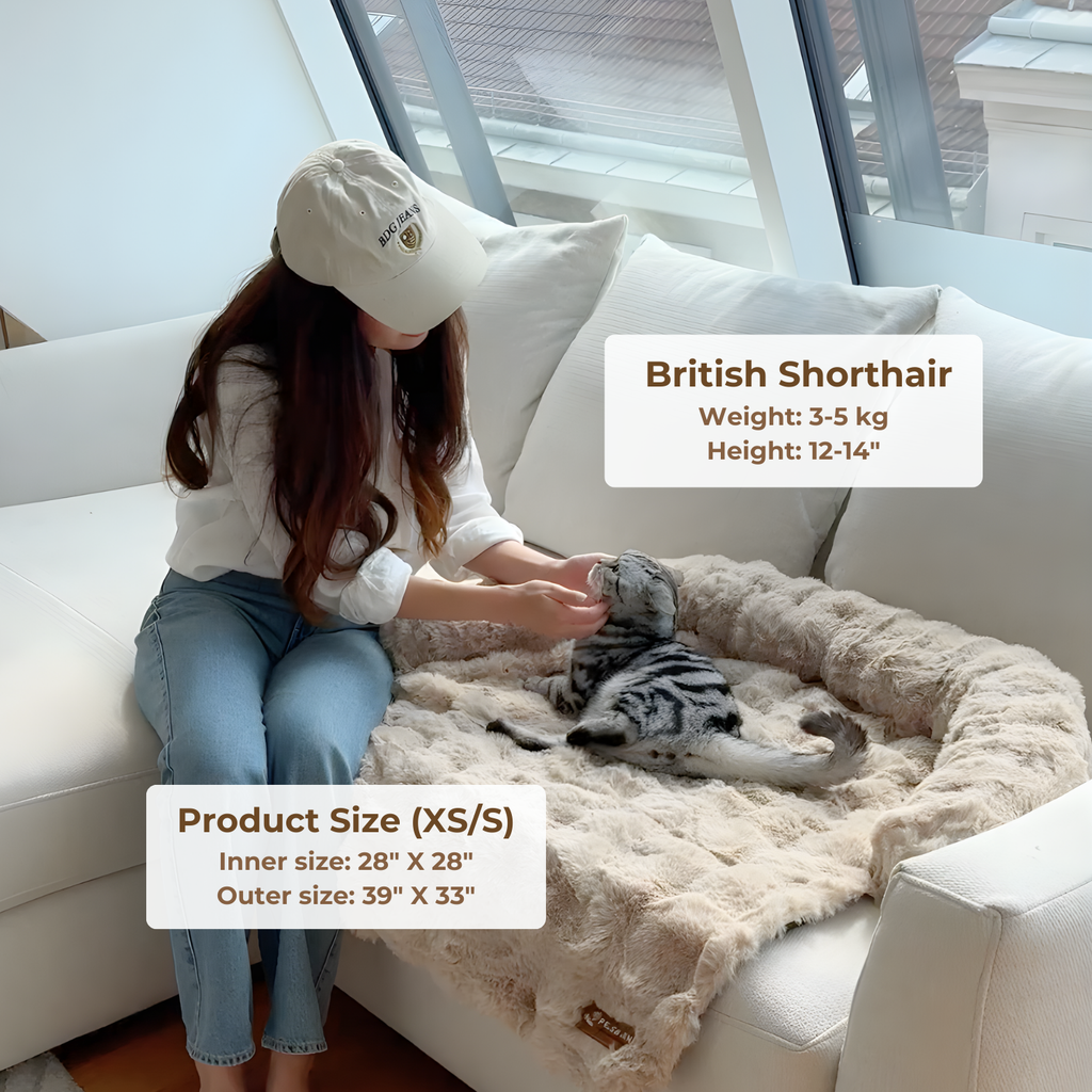 Pelsbarn Luxurious Sofa Bed ( 1+1 ) for Cats