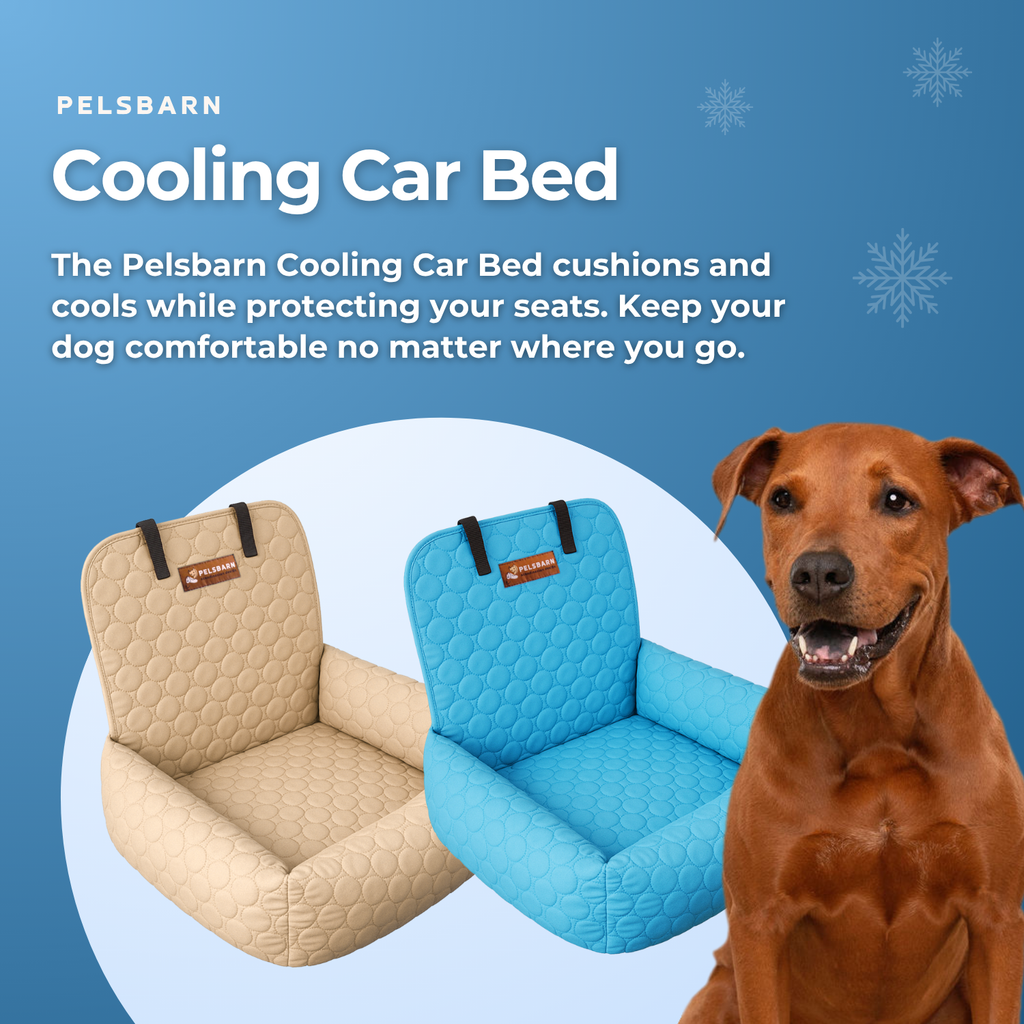 Cooling Car Bed