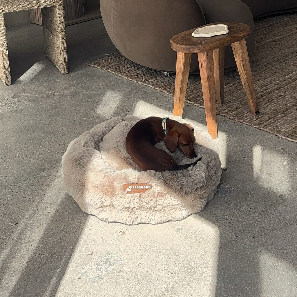 Luxurious Donut Bed
