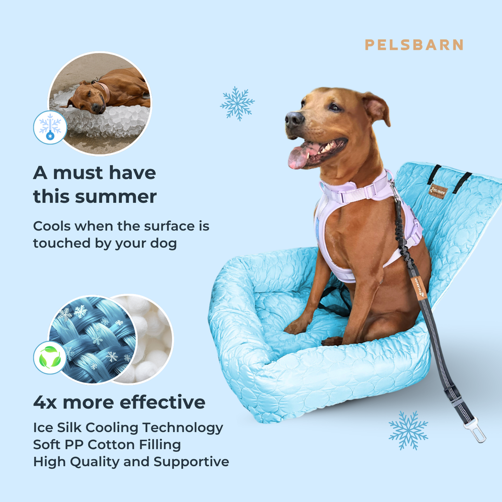 Cooling Car Bed