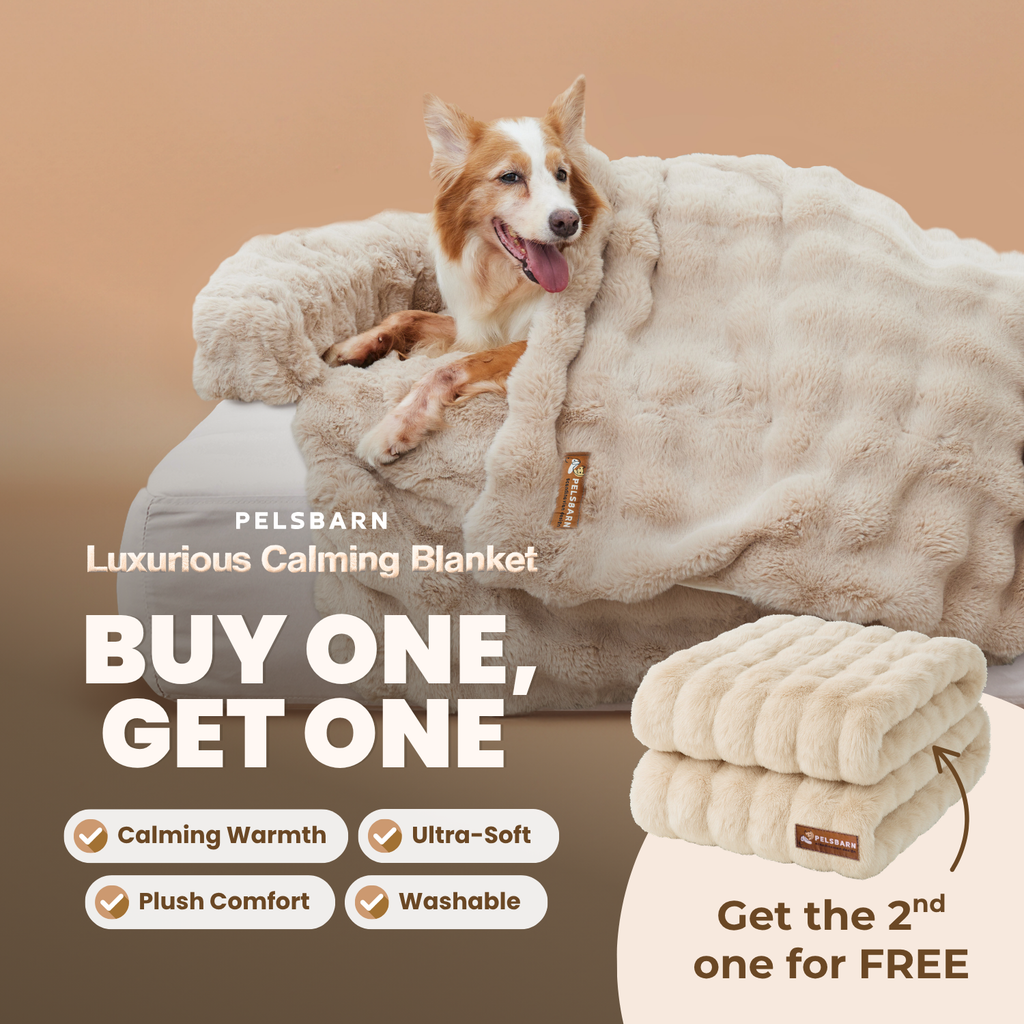 Luxurious Cuddle Calming Blanket ( 1+1 )