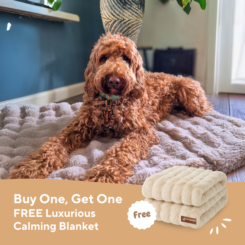 Luxurious Cuddle Calming Blanket ( 1+1 )