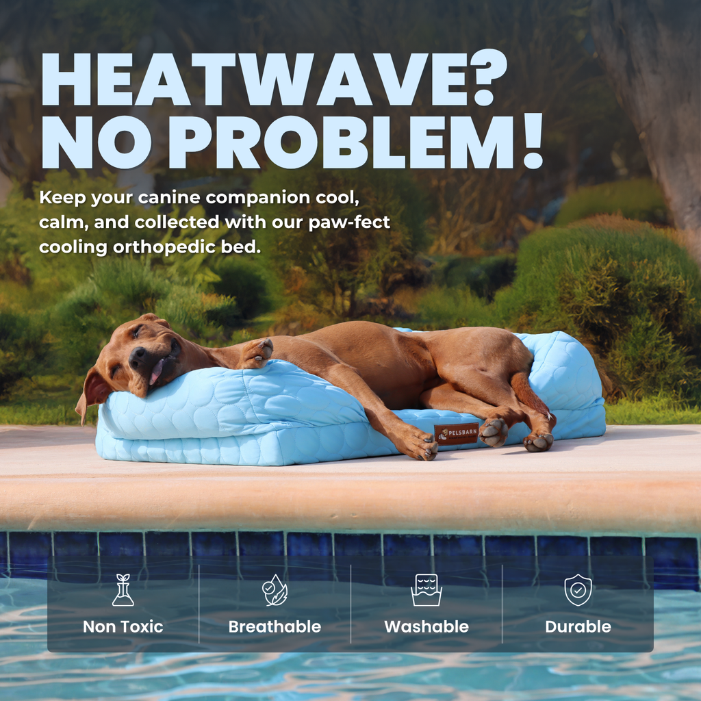 Cooling Orthopedic Bed