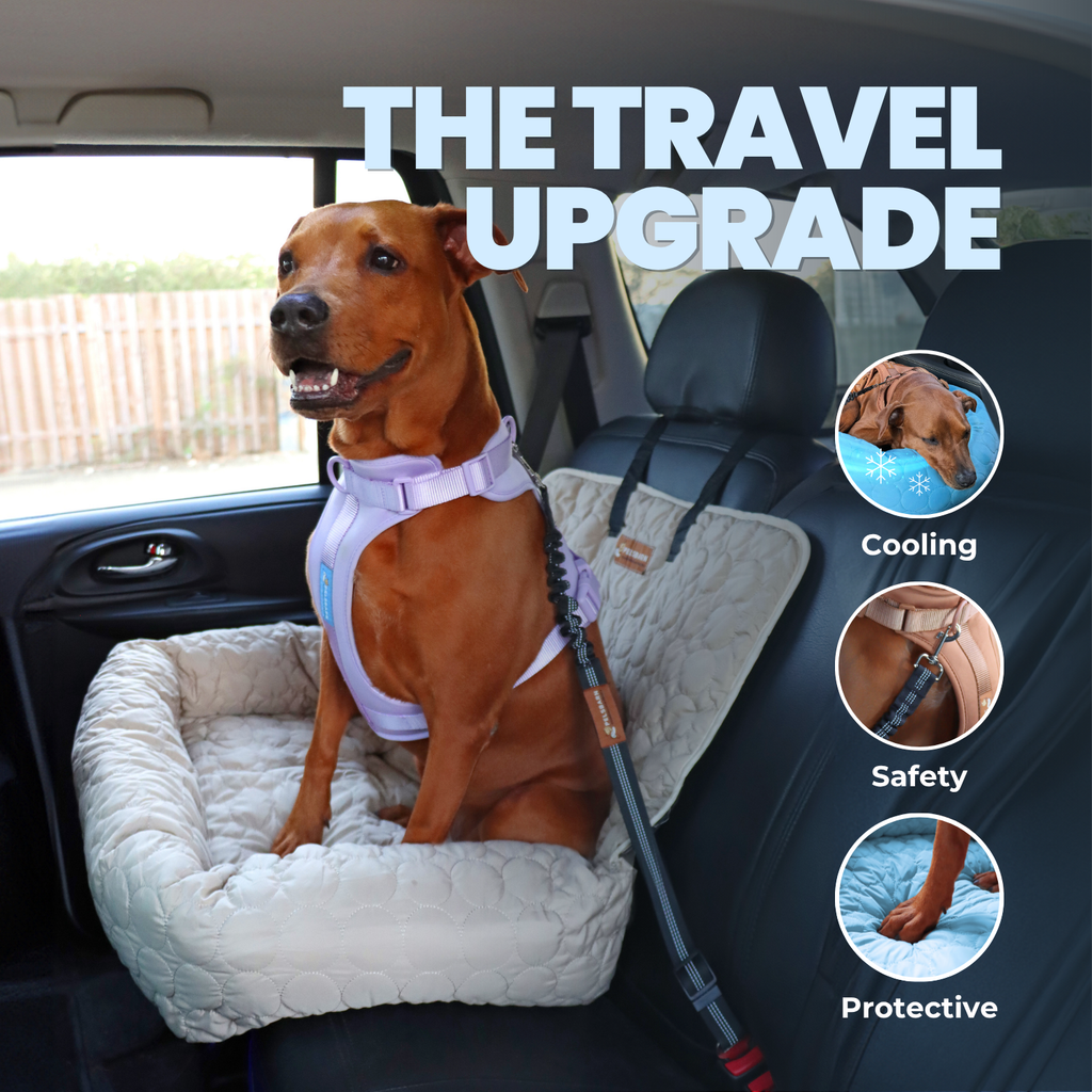 Cooling Car Bed
