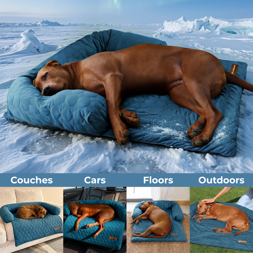 Cooling Sofa Bed