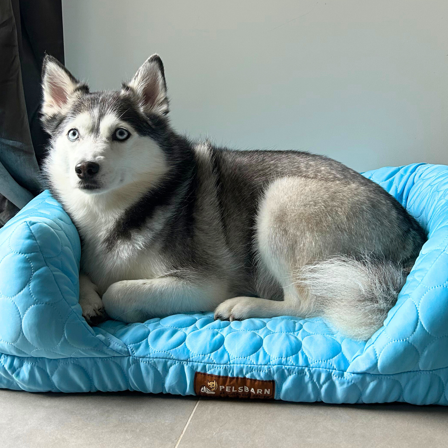 Orthopedic Cooling Dog Bed