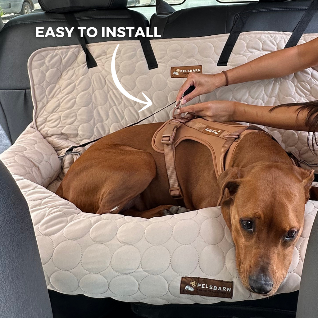 Cooling Car Bed