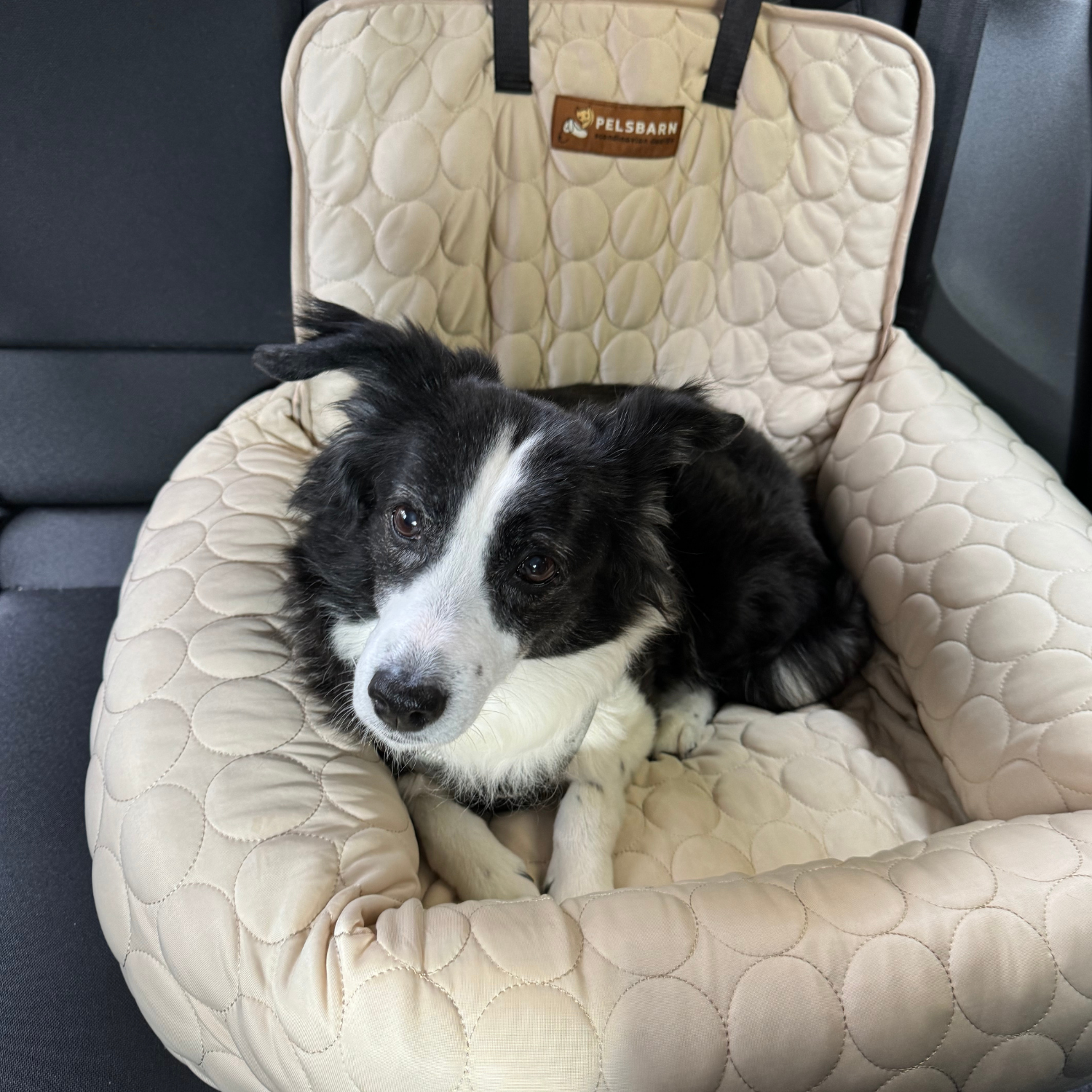 Cooling Car Bed