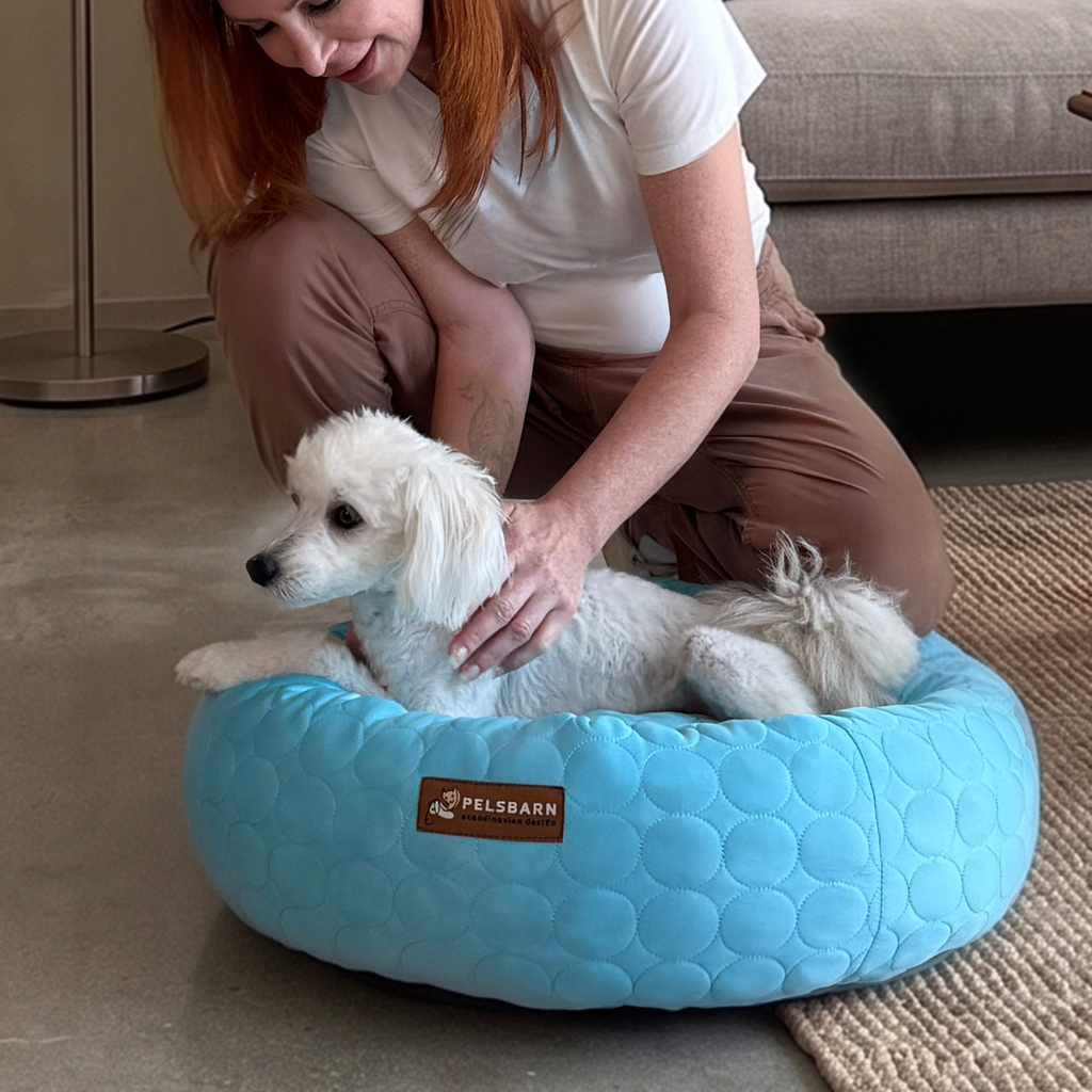 Cooling Donut Bed