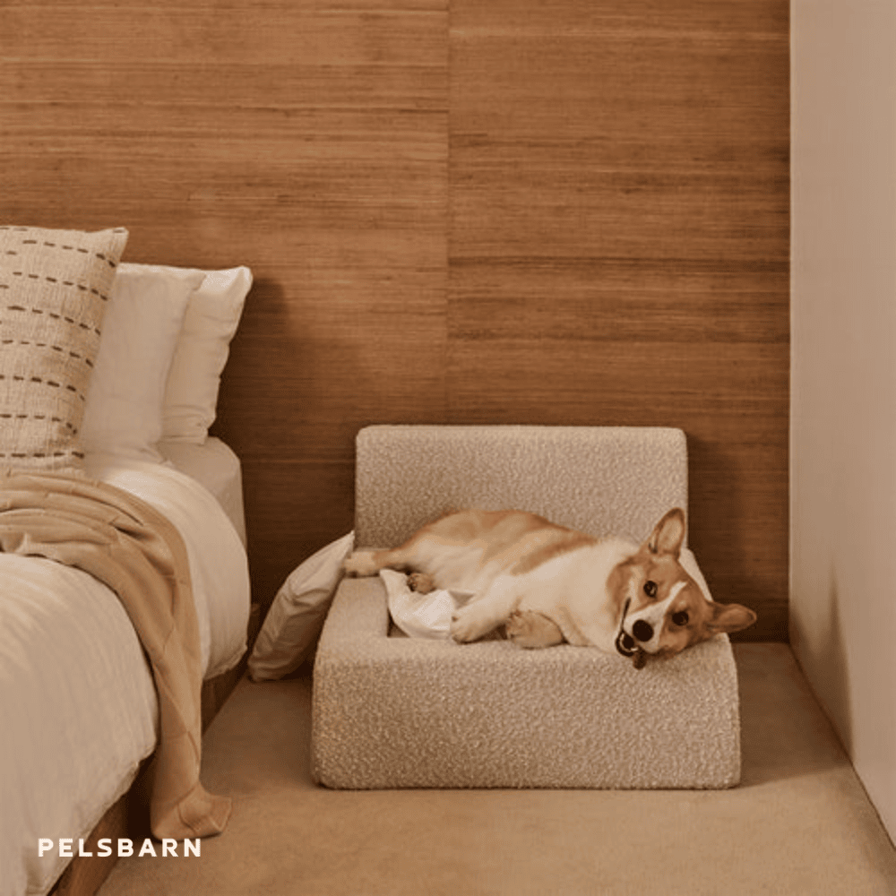 REAL orthopedic bed for dogs (including mattress and pillow)