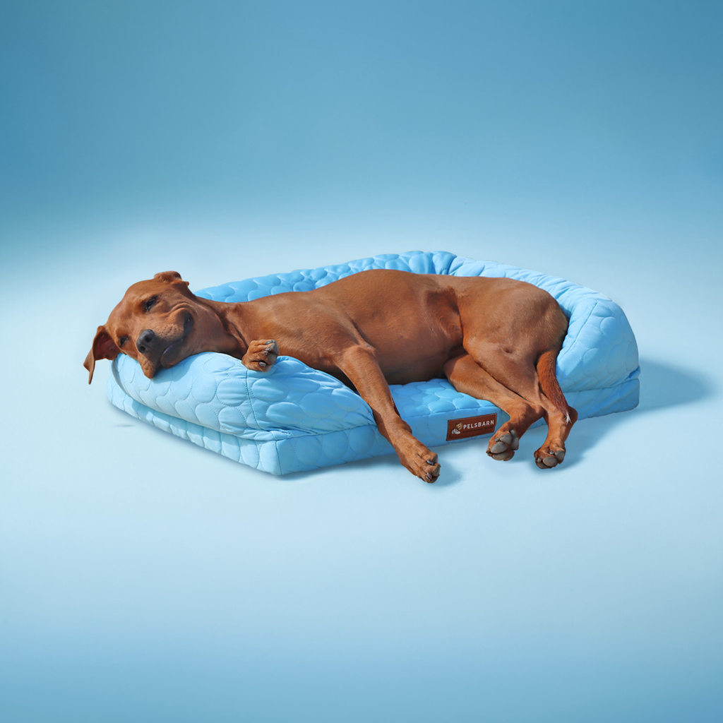 Orthopedic Cooling Dog Bed