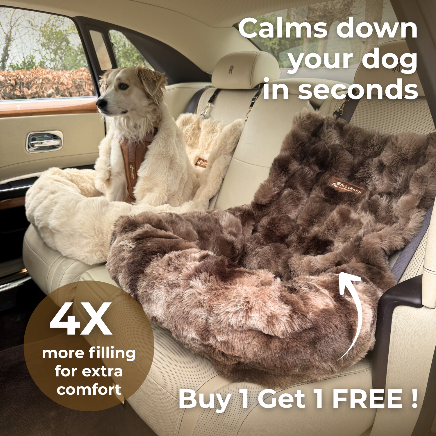 Luxurious Cozy Car Bed