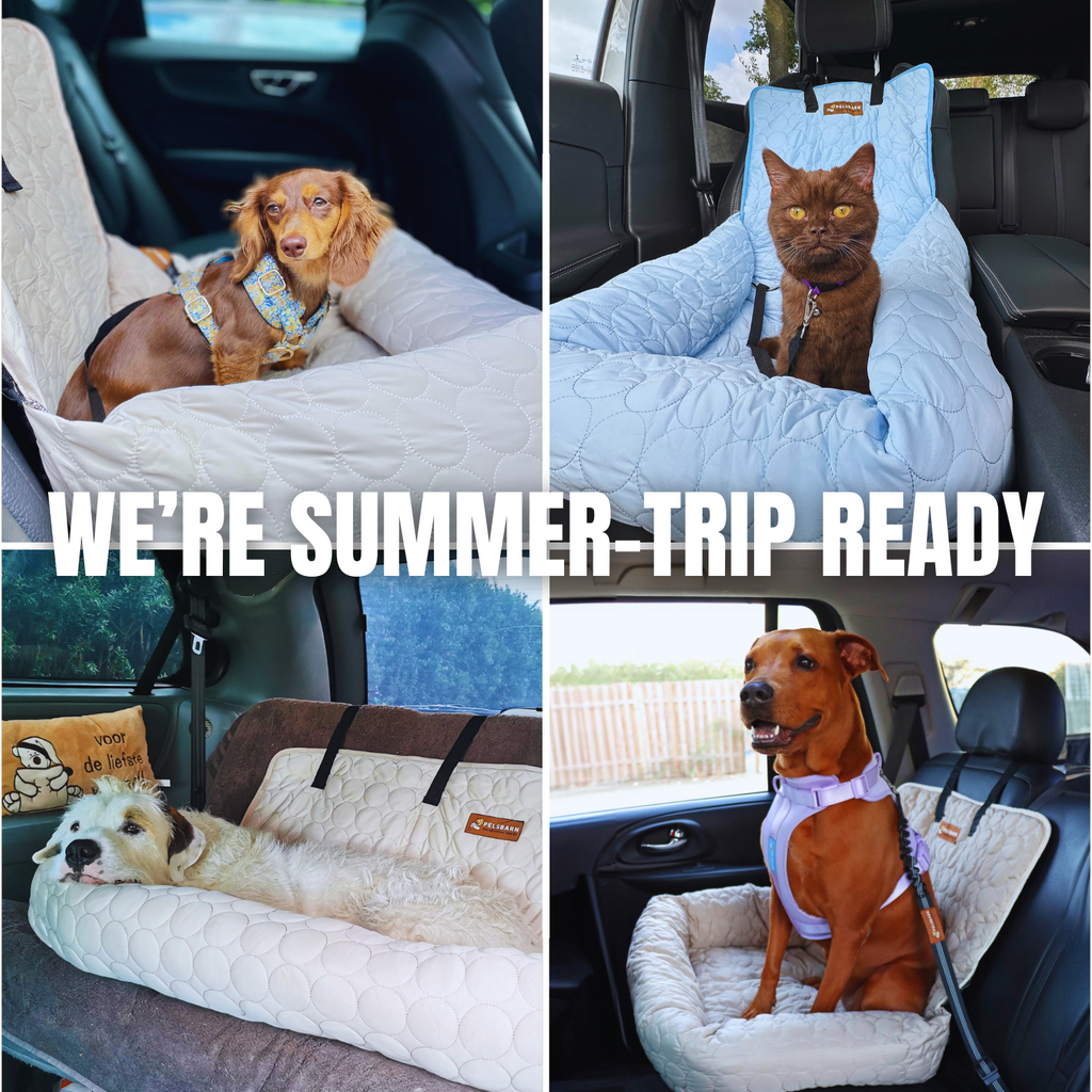 Cooling Car Bed