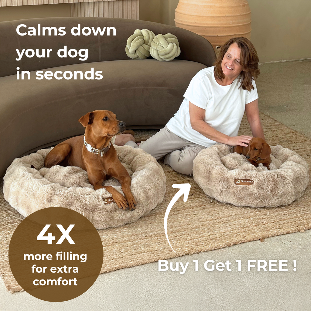 Luxurious Donut Bed
