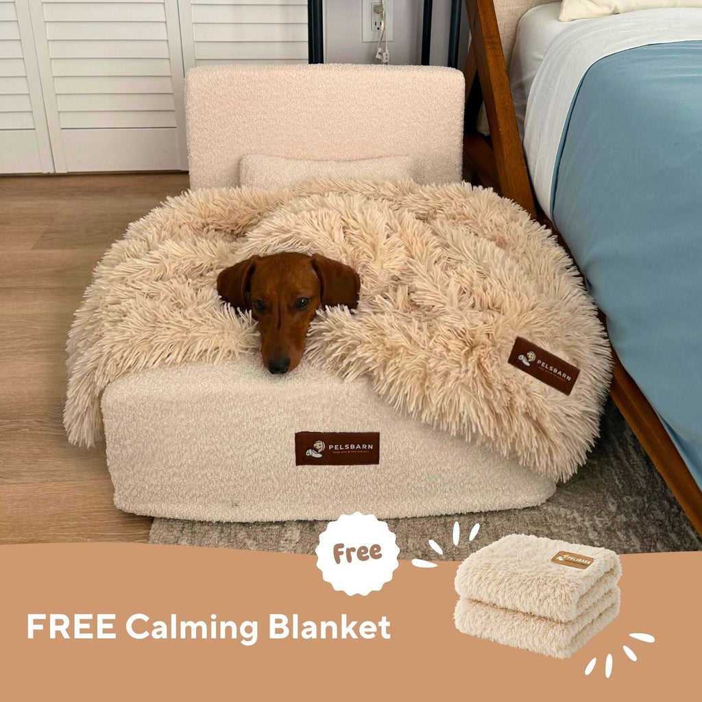 The Real Dog Bed + Free Calming Blanket
