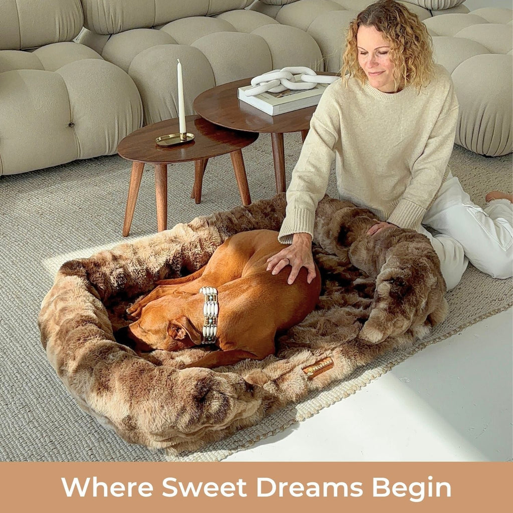 Luxurious Orthopedic Bed