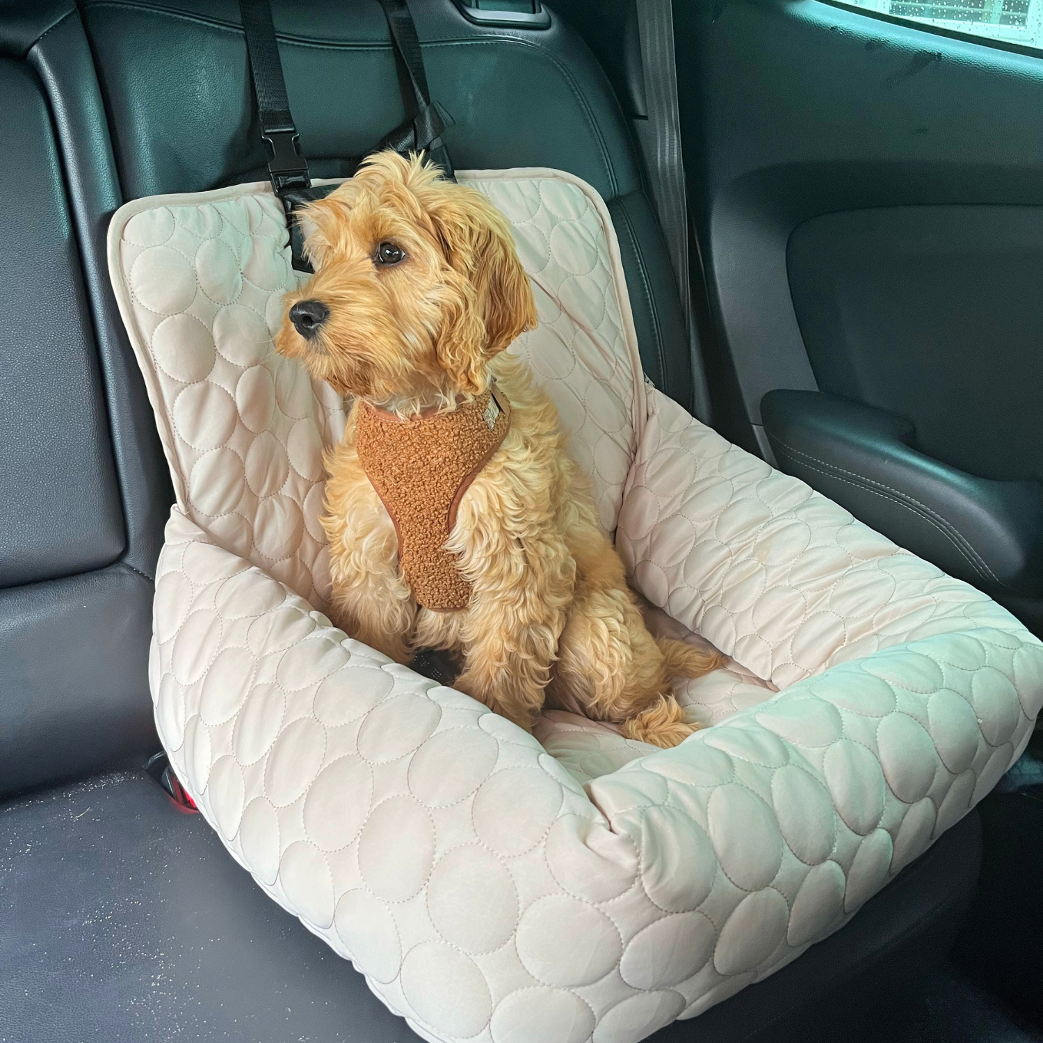 Cooling Car Bed