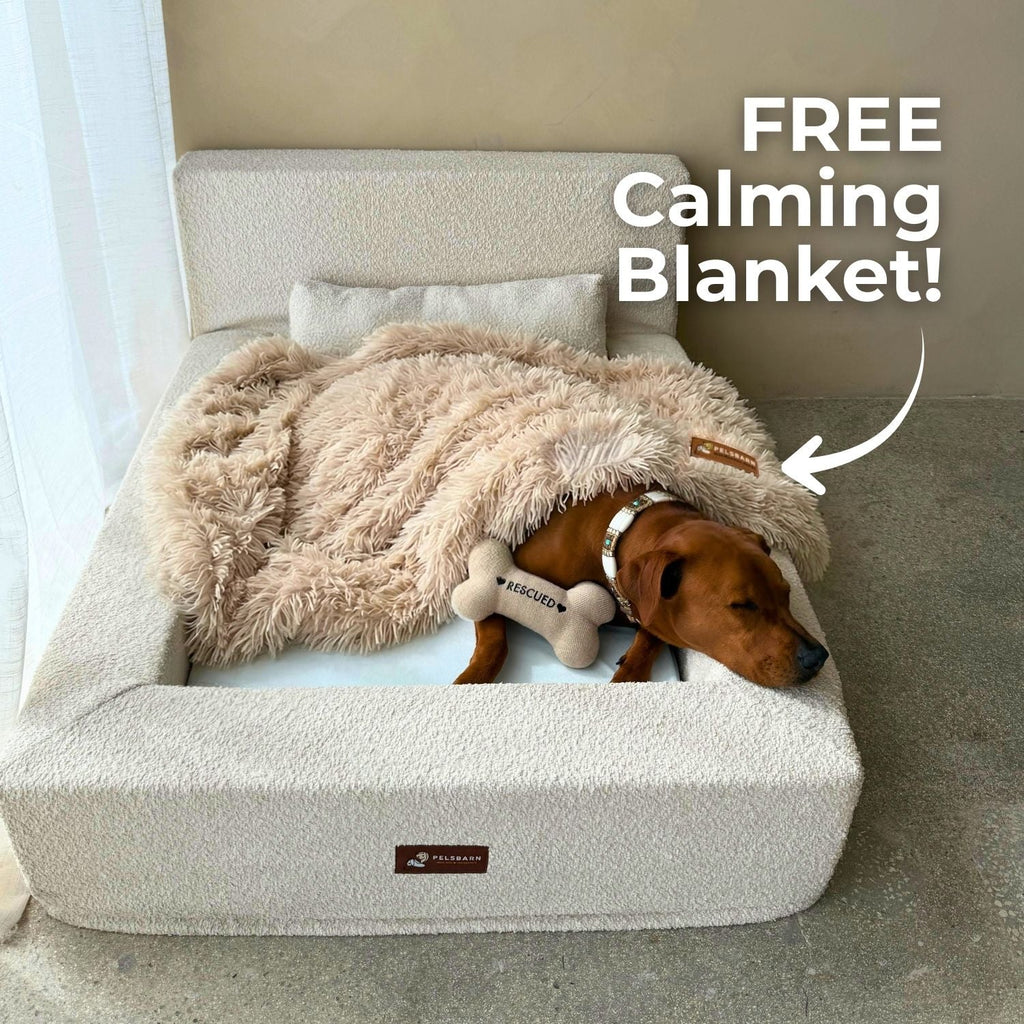 The Real Dog Bed + Free Calming Blanket