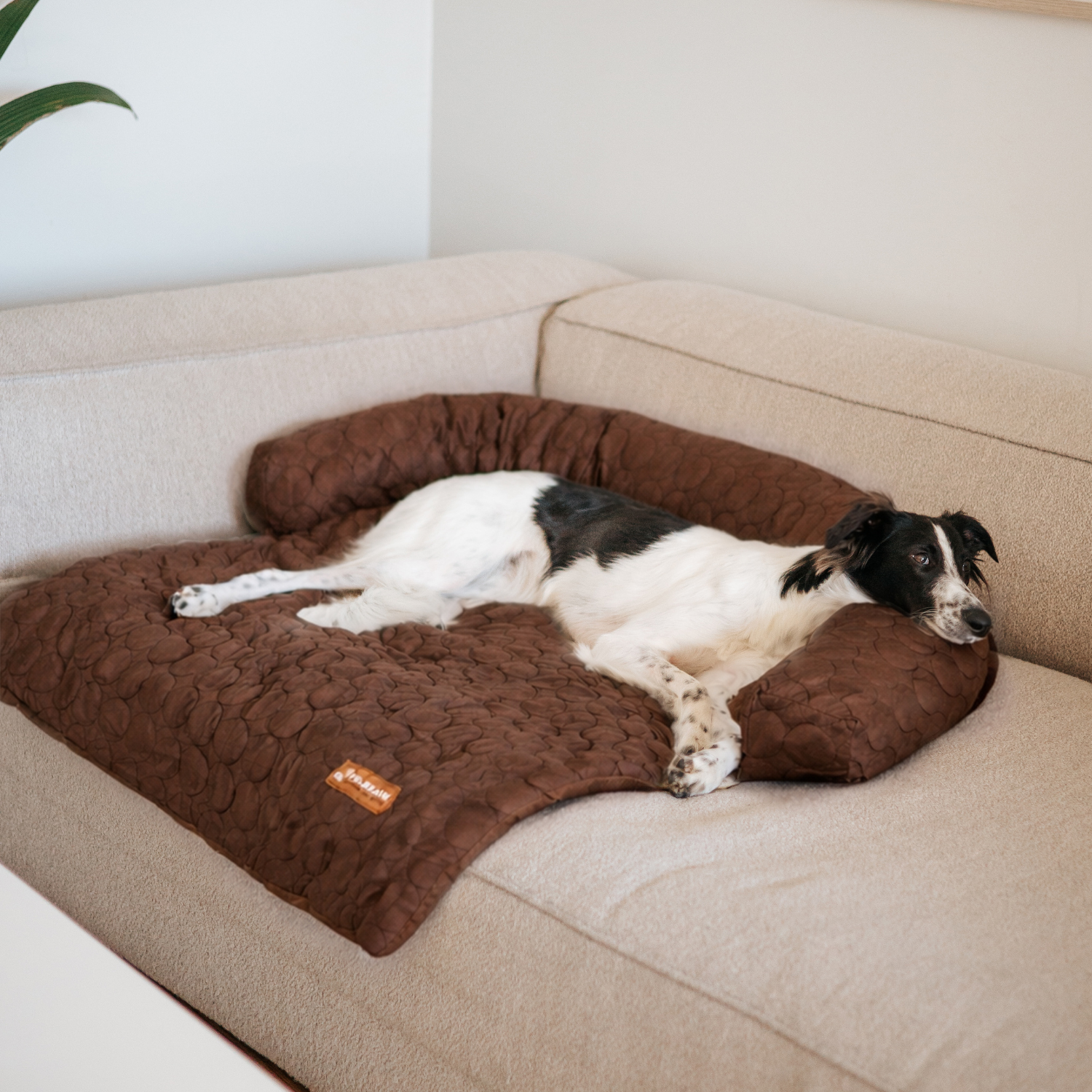Cooling Sofa Bed