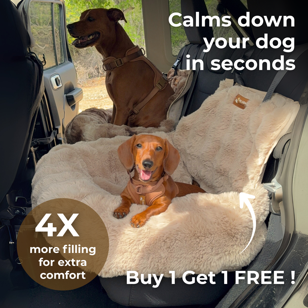 Luxurious Cozy Car Bed