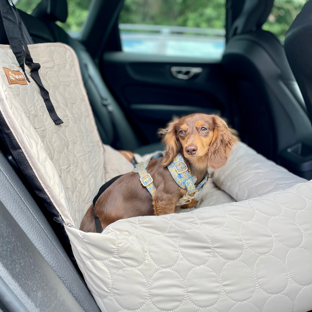 Cooling Car Bed
