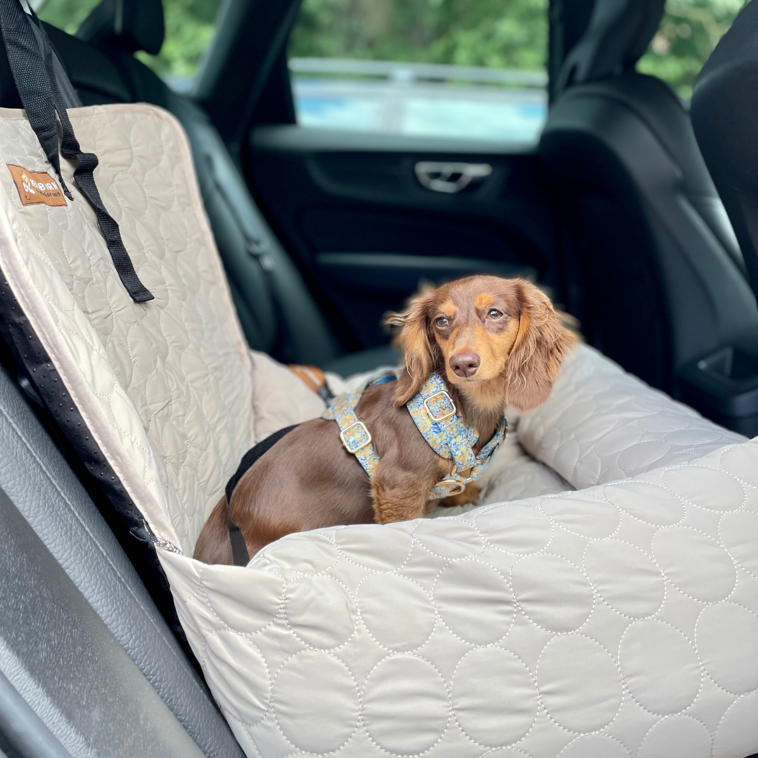 Cooling Car Bed