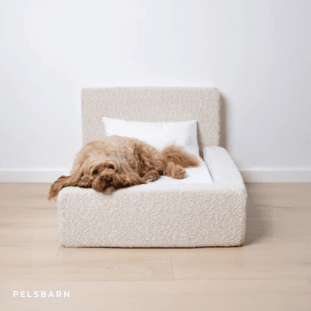 The Real Dog Bed