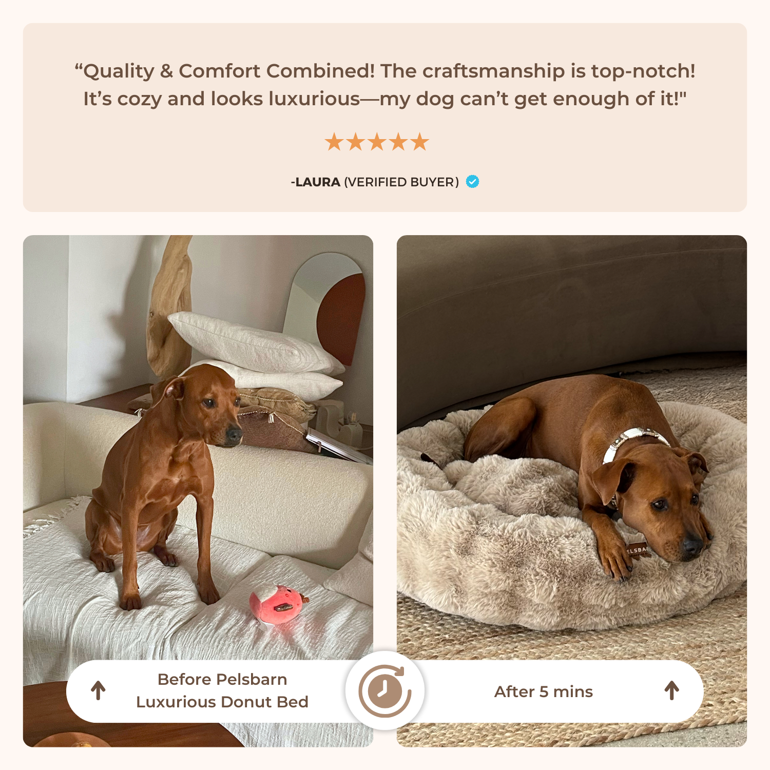 Luxurious Donut Bed