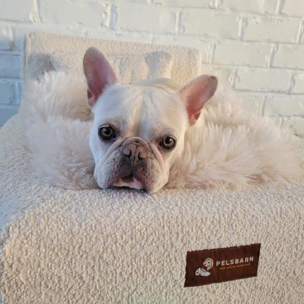 The Real Dog Bed + Free Calming Blanket