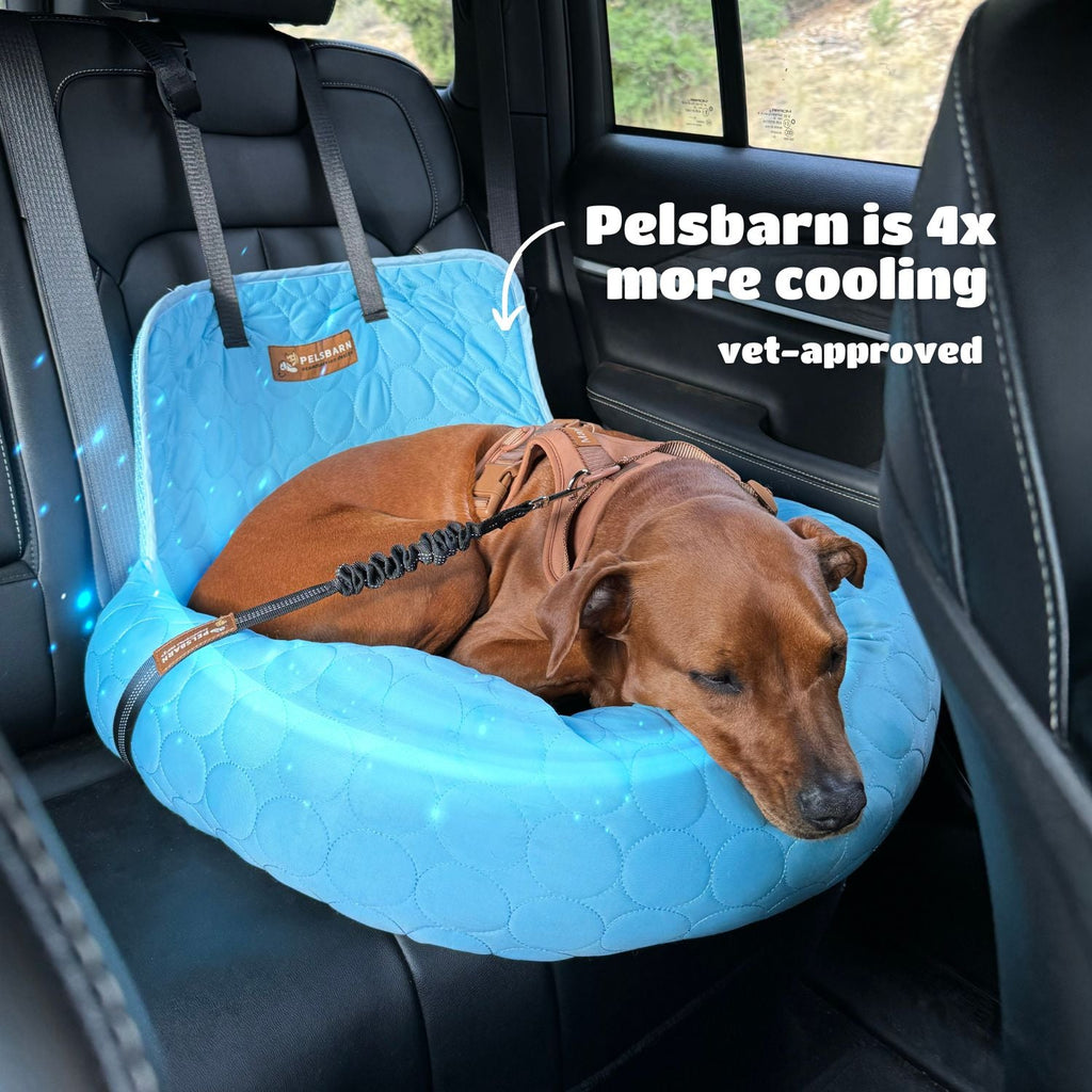 Cooling Car Bed