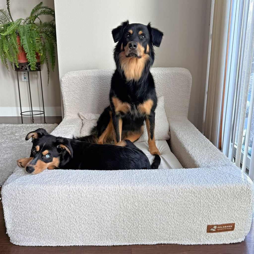 The Real Dog Bed + Free Calming Blanket