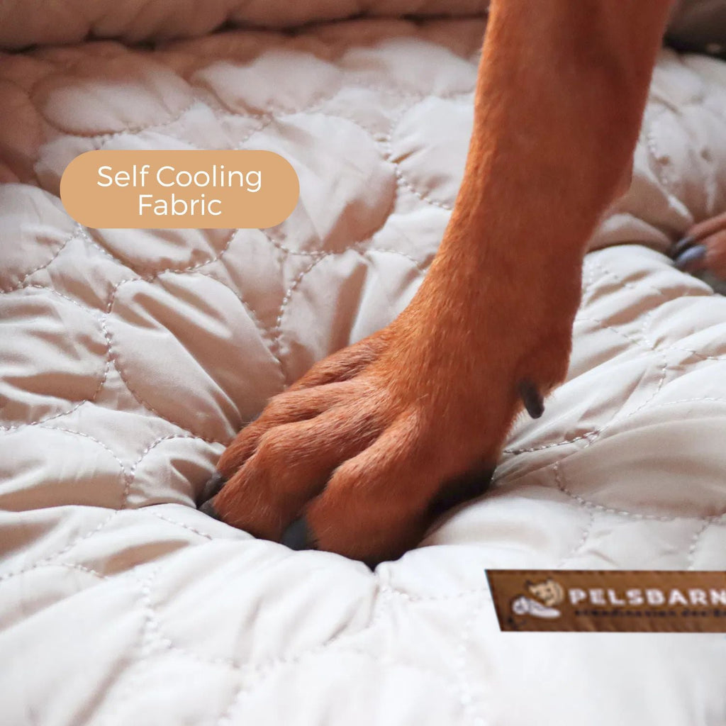 Cooling Car Bed