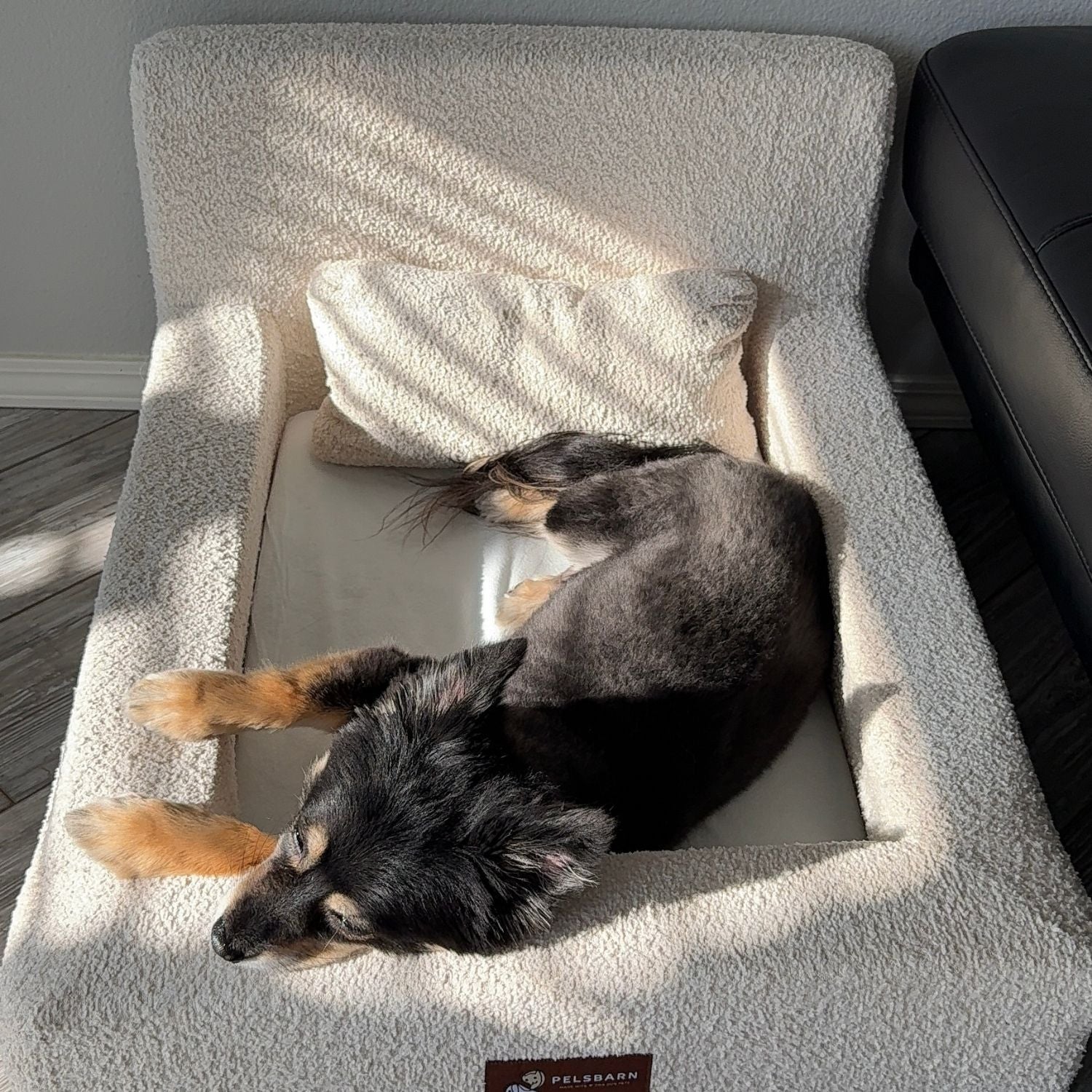 The Real Dog Bed + Free Calming Blanket