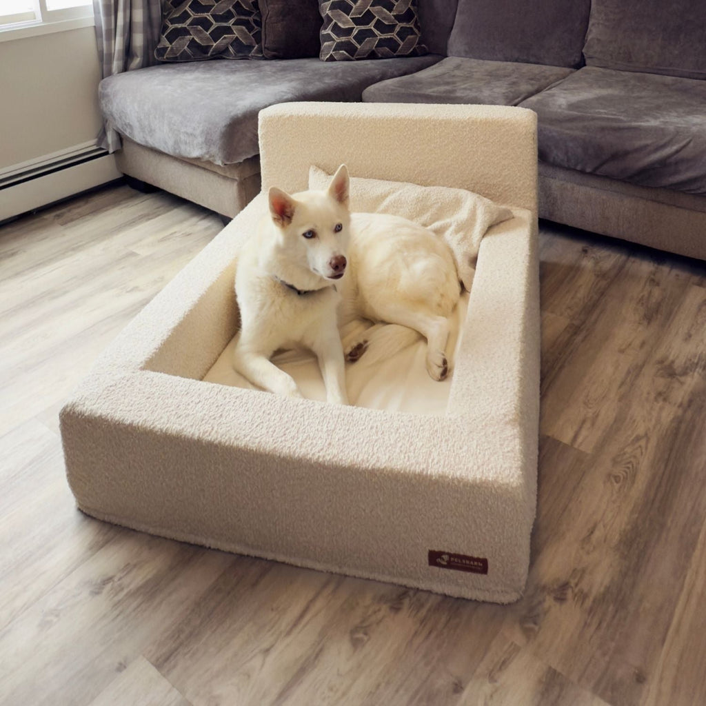 The Real Dog Bed + Free Calming Blanket