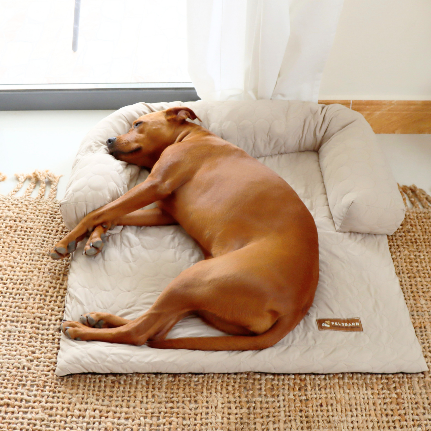 Cooling Sofa Bed