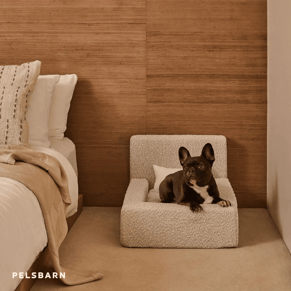REAL orthopedic bed for dogs (including mattress and pillow)