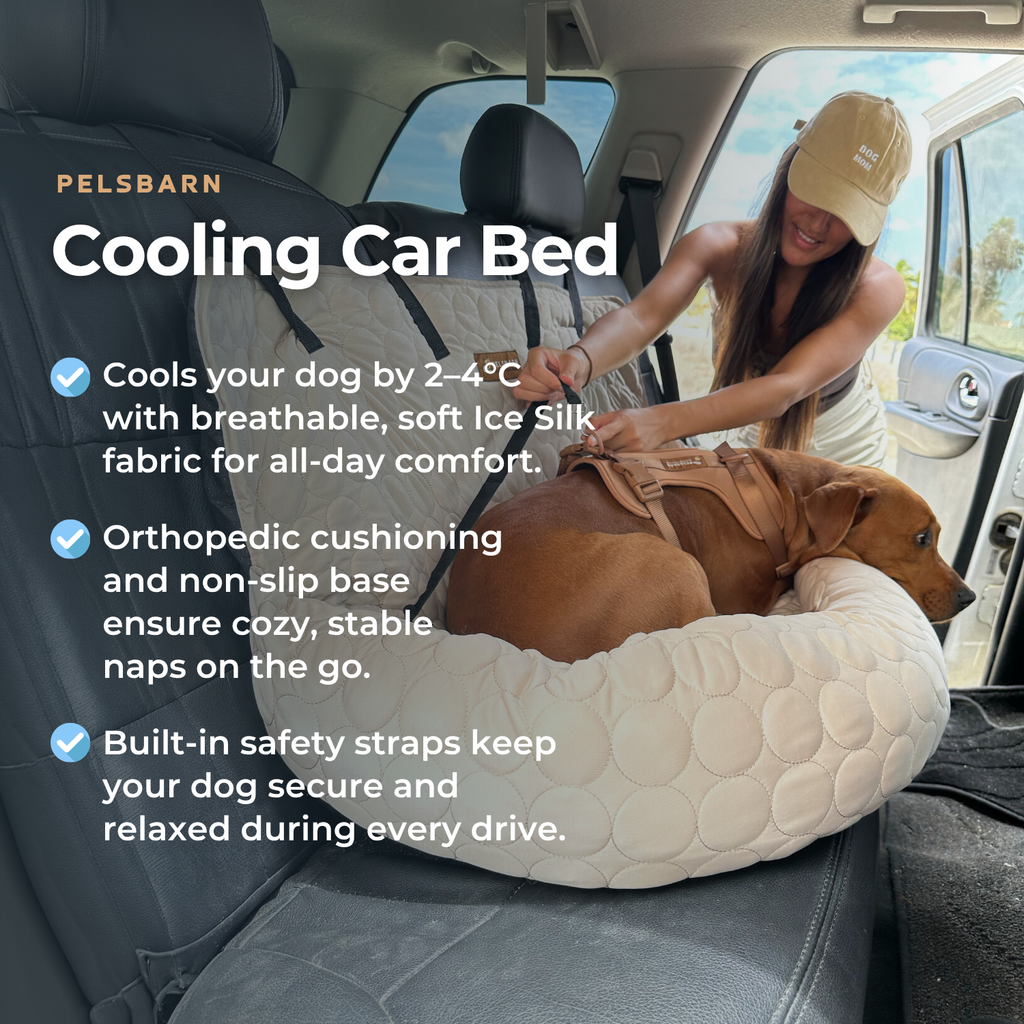 Cooling Car Bed