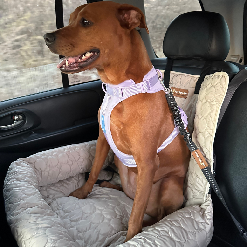 Cooling Car Bed