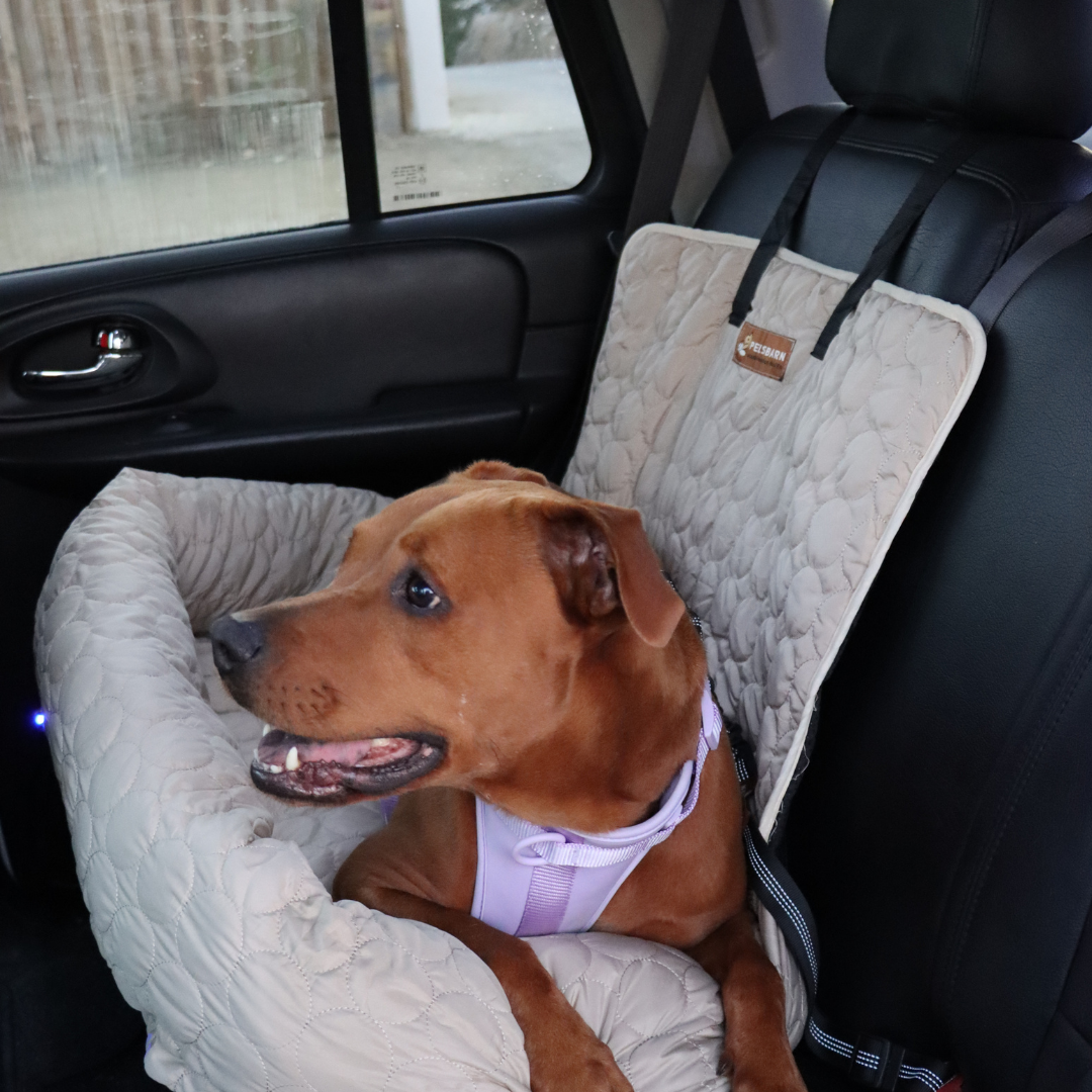 Cooling Car Bed