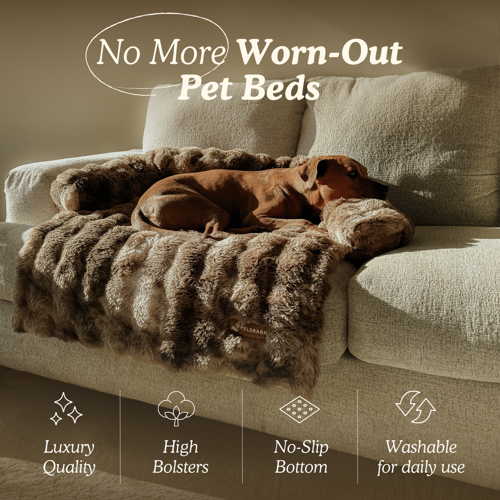 Luxurious Sofa Bed