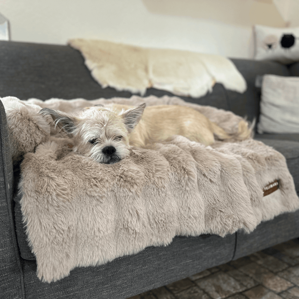 Pelsbarn Luxurious Sofa Bed ( 1+1 )