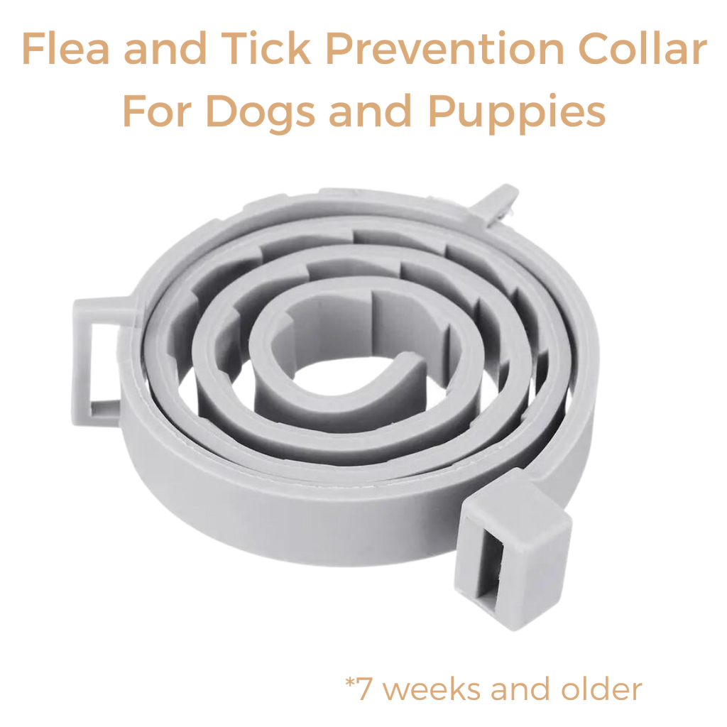 Anti Tick & Flea Collar