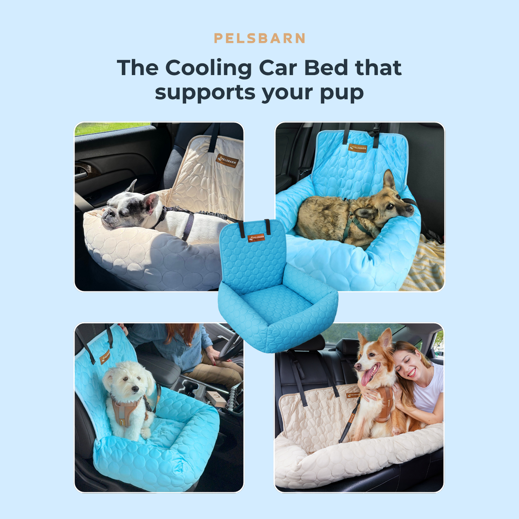 Cooling Car Bed