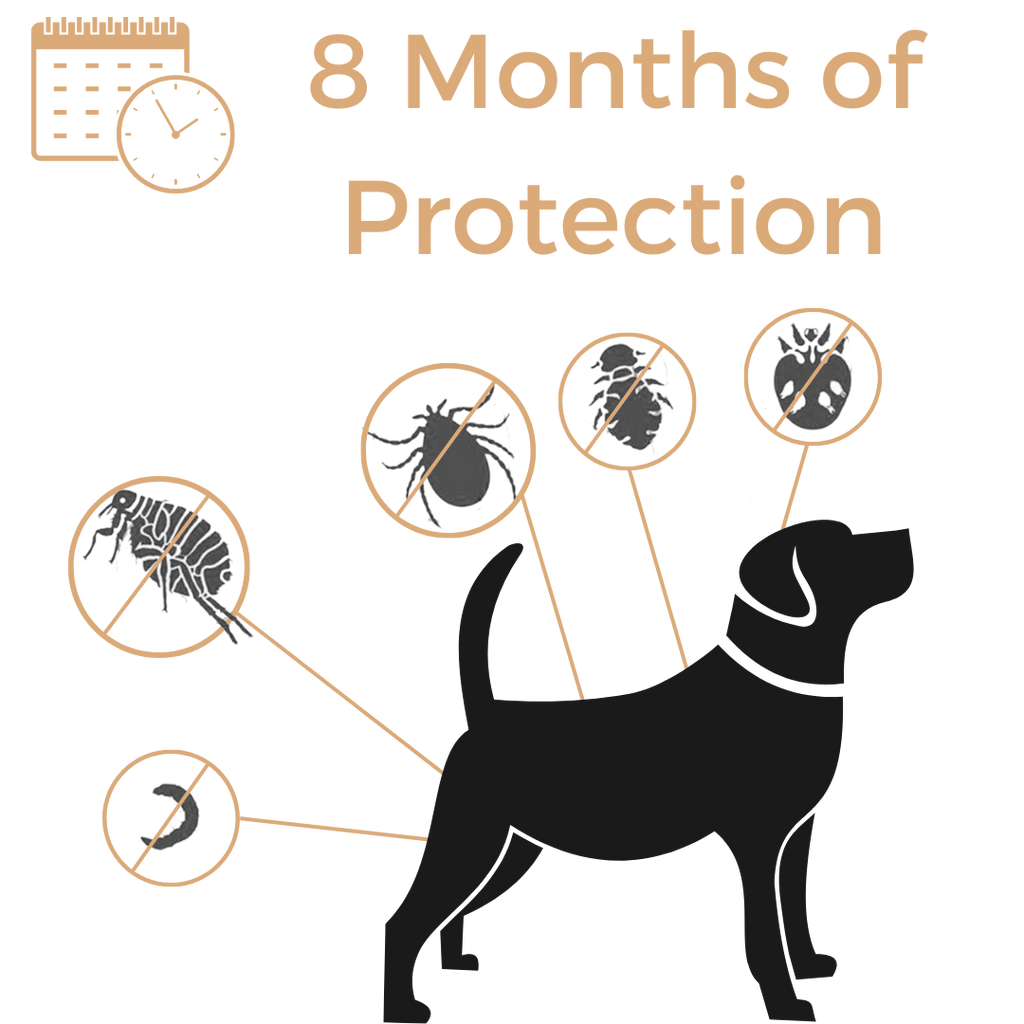 Anti Tick & Flea Collar