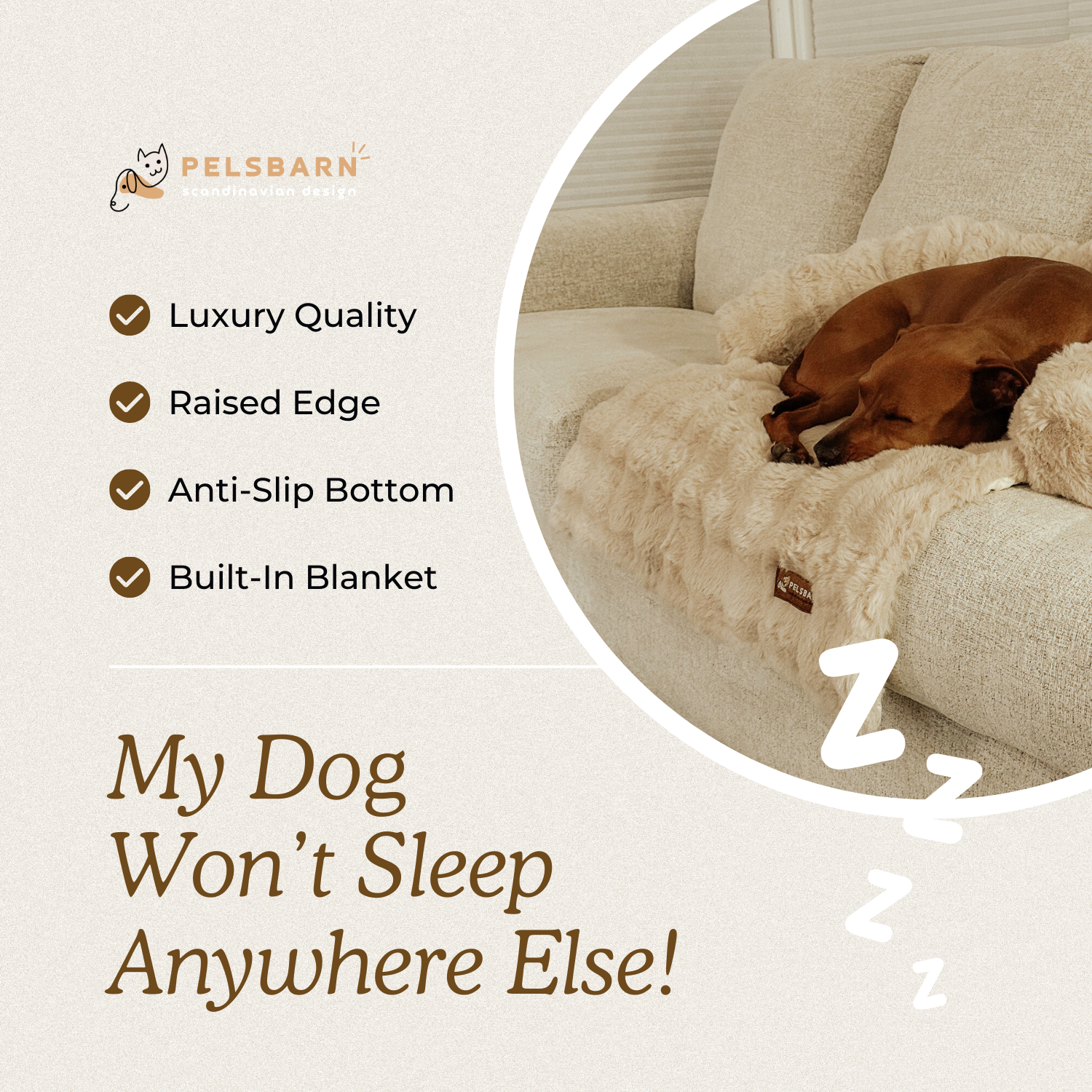 Luxurious Sofa Bed